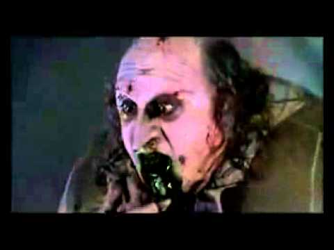 პინგვინი ივანიშვილი