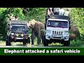 Elephant attacked a safari vehicle | एक हाथी ने सफारी वाहन पर हमला कर दिया | ช้างโจมตีรถซาฟารี