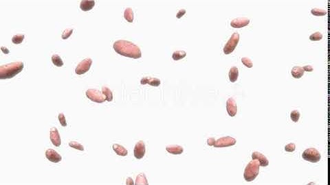 Infinite Rain of Potatoes on White | Motion Graphics - Envato elements