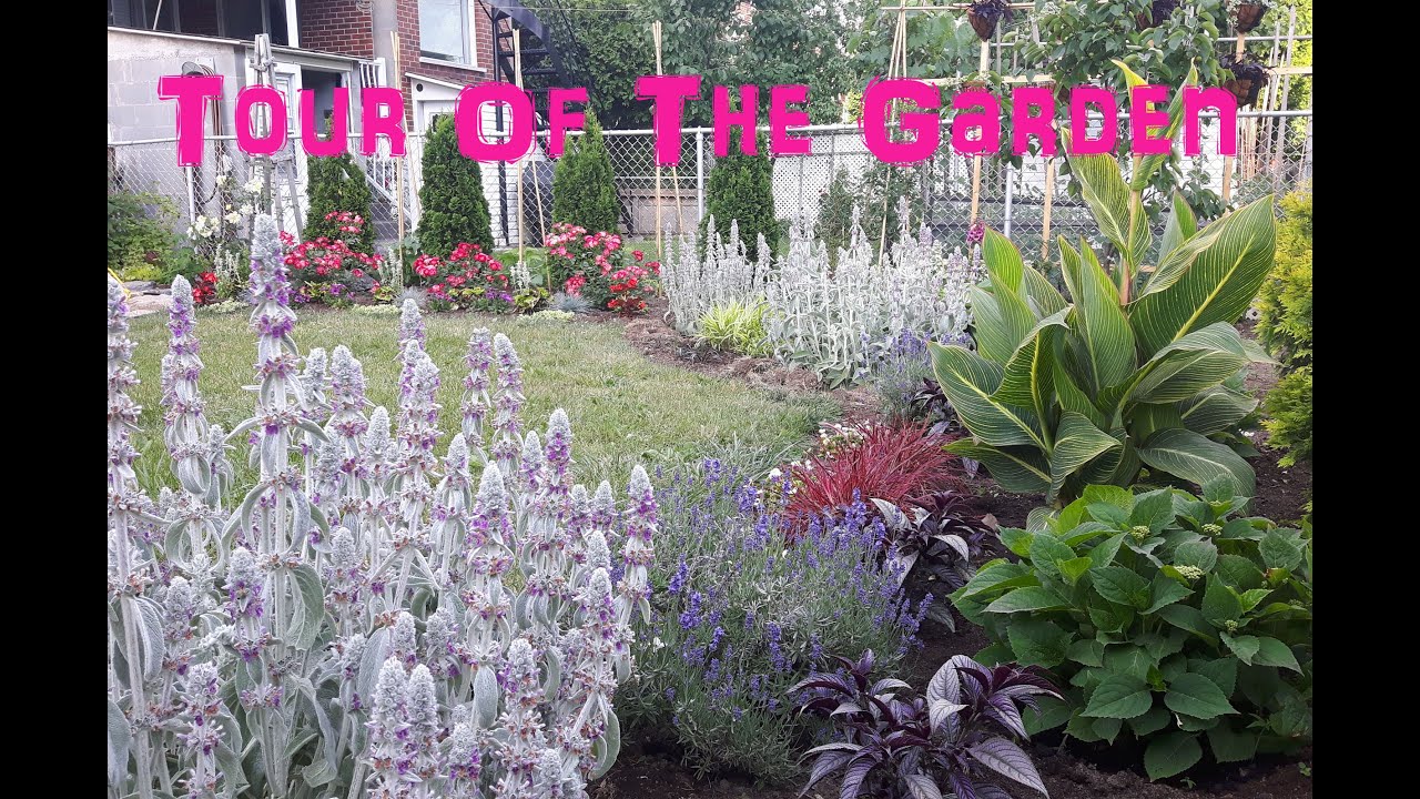 Tour Of The Garden