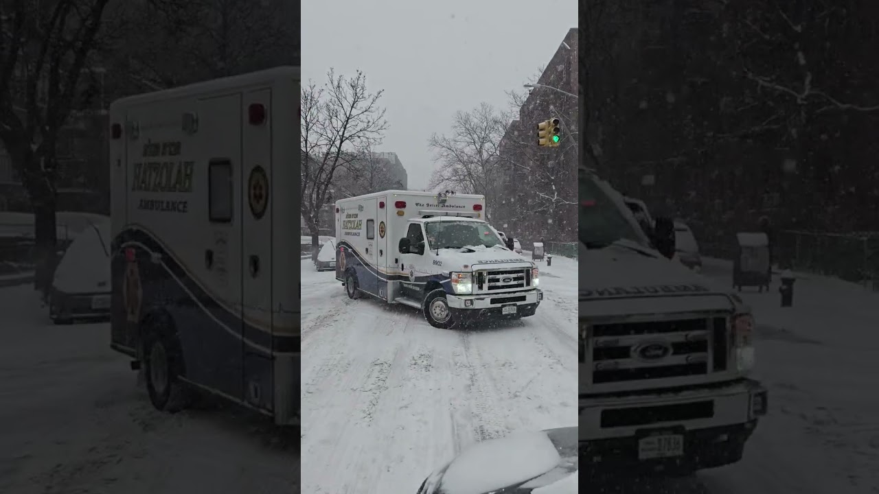 Snow Blankets Boro Park's 15th Ave. Sunday January 25 2026