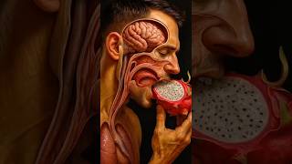 What happens while eating DRAGON FRUIT in the human body? #humanbody #anatomy #3danimation