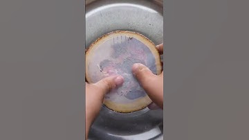 DIY Wood Picture Transfer Ornament