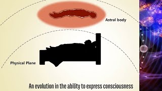 What Happens When We're on the Astral Plane? | Dreams and the Astral Experience