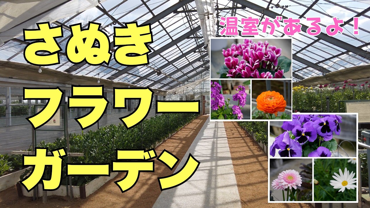 フラワー・ガーデニング Sample Greenhouse Stroll] Sanuki Flower Garden: A 10-minute stroll amidst