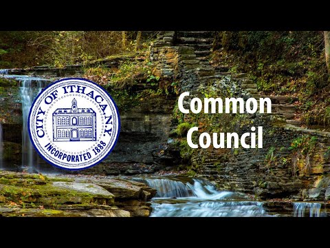 03-16-2021 Common Council Committee of the Whole Meeting