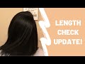 Natural Hair Update/Length Check