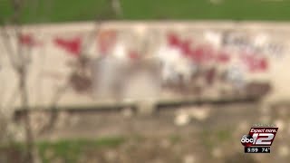 Taggers sought after rise in graffiti across Seguin