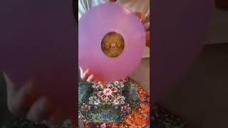 The Orb - Orboretum