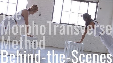 Annie Kielman & Joshua Patterson: Behind-the-Scenes of "The MorphoTransverse Method" | HCL