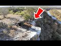 Camping on Cliff Edge - Exotic Animals Enter My Camp!