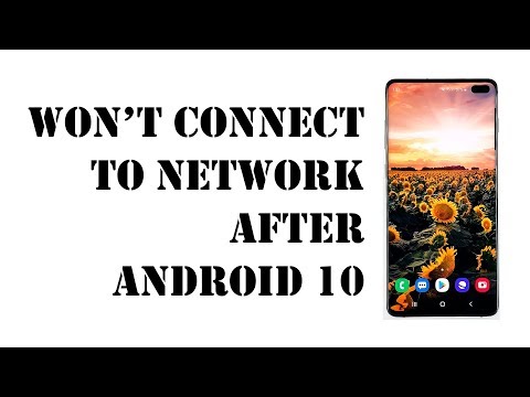 My Galaxy S10 Won’t Connect To WiFi After Android 10. Here’s The Fix!
