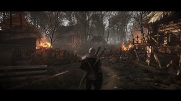Witcher 3 - STLM 2.2