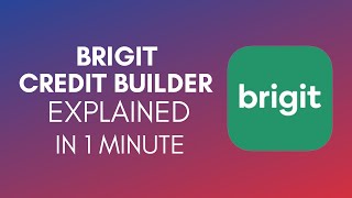 How Does Brigit Credit Builder Work? (2024)
