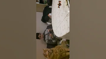 Алекс играе с неговата топка 