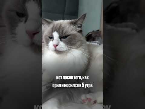 ТГ: layla_winx #гипнокоуч #гипнолог #гипнотерапия #гипнологонлайн #гипноз #транс #гипнозонлайн