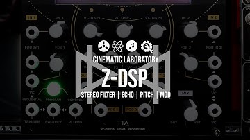 Z-DSP, Mutable Rings, guitar heroes and feedback.