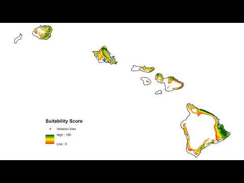 Video: Breadfruit. general description