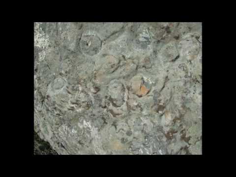 Video: Kur žemė Jungiasi Su Dangumi Ir 4 Tūkstančiai Petroglifų Atspindi Nežinomos Civilizacijos Gyvenimą - Alternatyvus Vaizdas