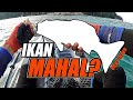 STRIKE IKAN MAHAL DI PORT DICKSON | Unlocked New Species | Kayak Fishing ZERO to HERO! #v11