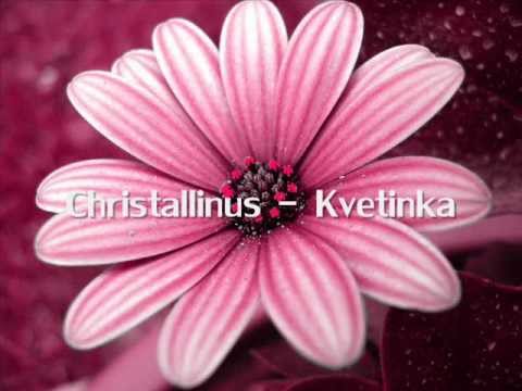 Video: Kvetinka