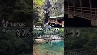 見どころがいっぱい!