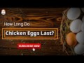 How long do CHICKEN EGGS LAST?