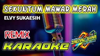 sekuntum mawar merah-elvy sukaesih KARAOKEversi HD