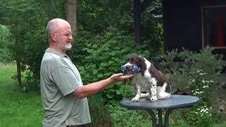 Bismarck Erste Schritte Zum Apport