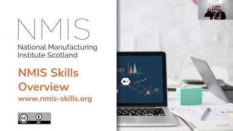 Overview of NMIS Skills