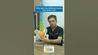Why Does my Tailbone/Coccyx Hurt when I Sit? Dr Amod