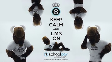 12-minutes of Point Park