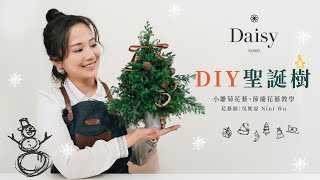 小雛菊花藝學校ep8節慶花藝教學迷你聖誕樹DIY一棵真的聖誕樹