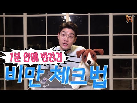 강아지 비만의 모든 것!_1분 비만 체크법_댕댕아 건강하자♡