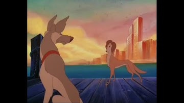 Animash-Everytime We Touch