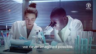International Day of Forests 2024: Forests and innovation – new solutions for a better world