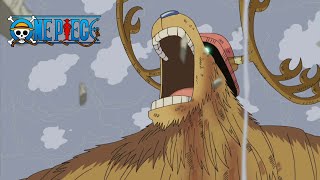 one piece chopper monster point enies lobby｜TikTok Search