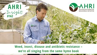 AHRI Insight 162 - Weed, insect, disease and antibiotic resistance