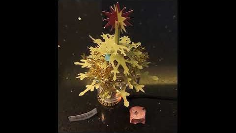 Small Christmas tree with Adafruit Circuit Playground Express lights