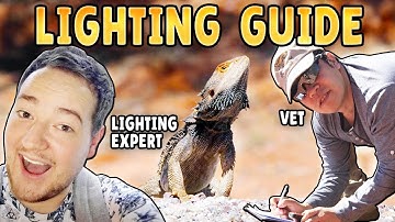Bearded Dragon Lighting Guide with BeardieVet & Thomas Griffiths