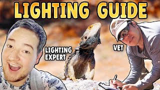 Bearded Dragon Lighting Guide with BeardieVet & Thomas Griffiths