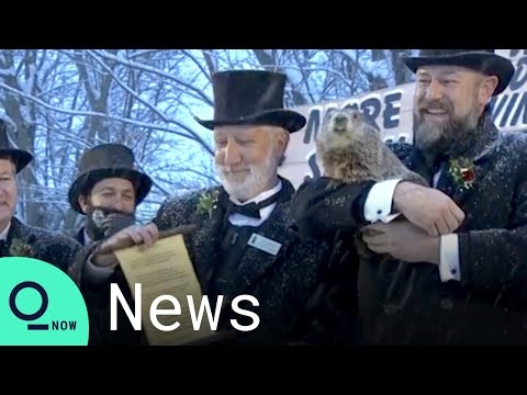 Video: Groundhog Punxsutawney Phil Mempunyai Tidak Ada pada 7 Binatang Prognosticating ini