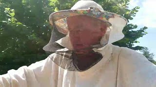 Двухматочное пчеловодство по Озерову.