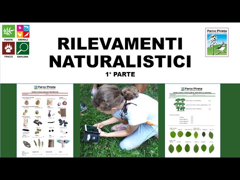 Video: I pianti contano come rilevamento?