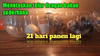 CARA MEMBUAT ALAT PENETAS TELUR AYAM DARI BARANG BEKAS || HOW TO  MAKE AN EGG HATCHER