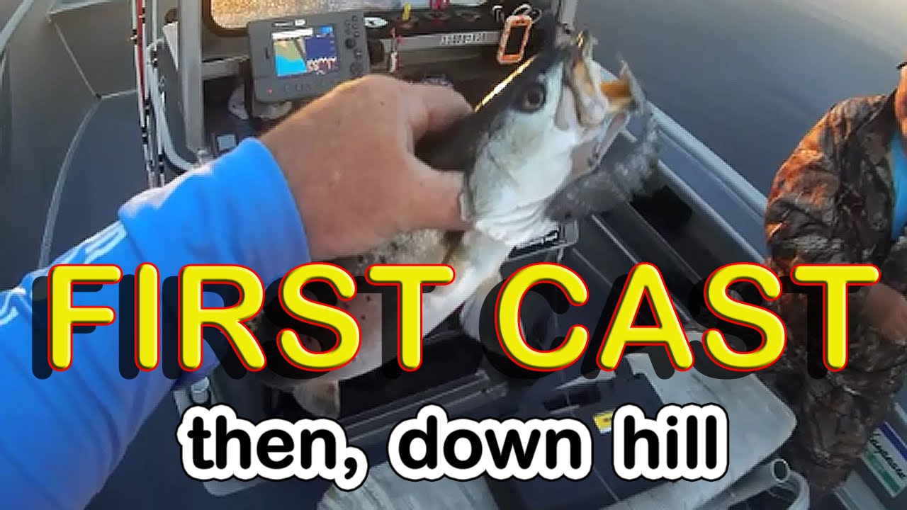 Egret Vudu Mullet to Popping cork...February shallows fishing YouTube