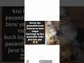 blaouse gelery fashion world whatsApp status short video