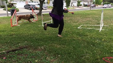 [RUSH] Running AFrame Training, Jumping Grid (Session 2) - Aug 14, 2017