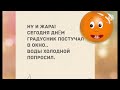 Подборка анекдотов. Смешные анекдоты. Свежие. Новые. Юмор дня!