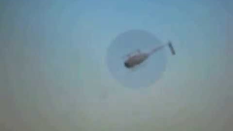 E-sky Honey Bee CP2 Flight Sim Test run up